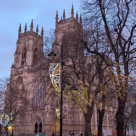 Little Yorkie Centre Free Parking