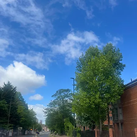 Little Yorkie Centre Free Parking